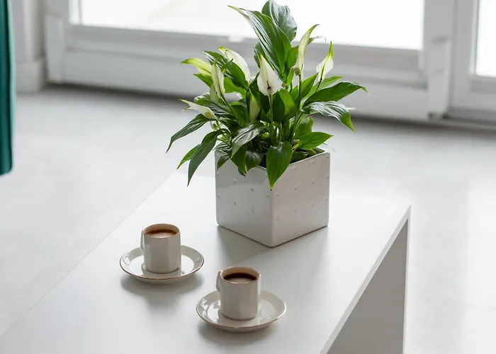 Апартаменты Pelican *